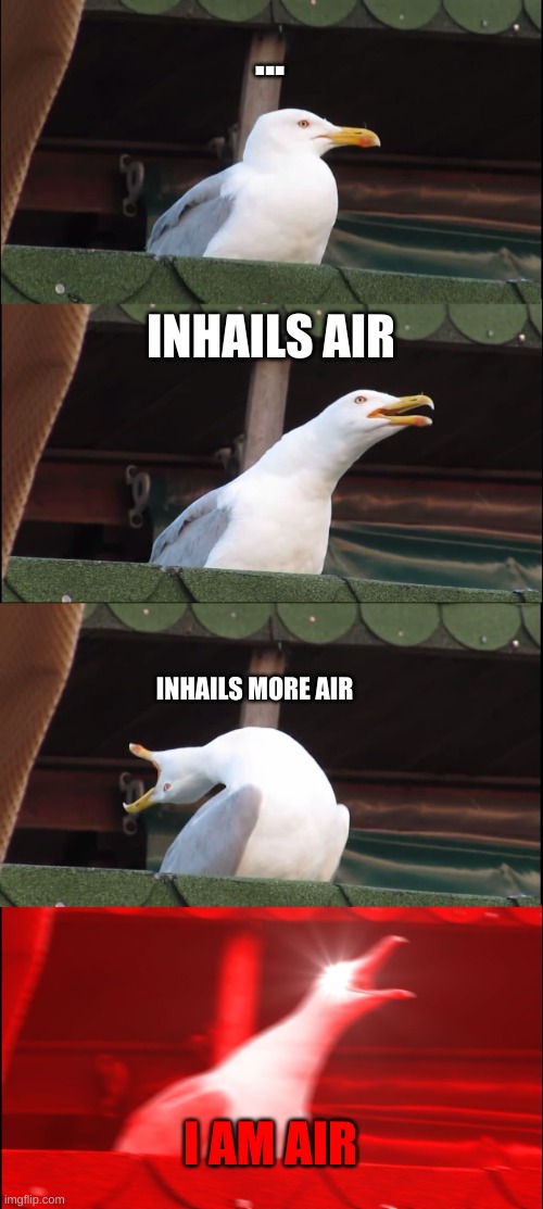 Inhaling Seagull | ... INHAILS AIR; INHAILS MORE AIR; I AM AIR | image tagged in memes,inhaling seagull | made w/ Imgflip meme maker