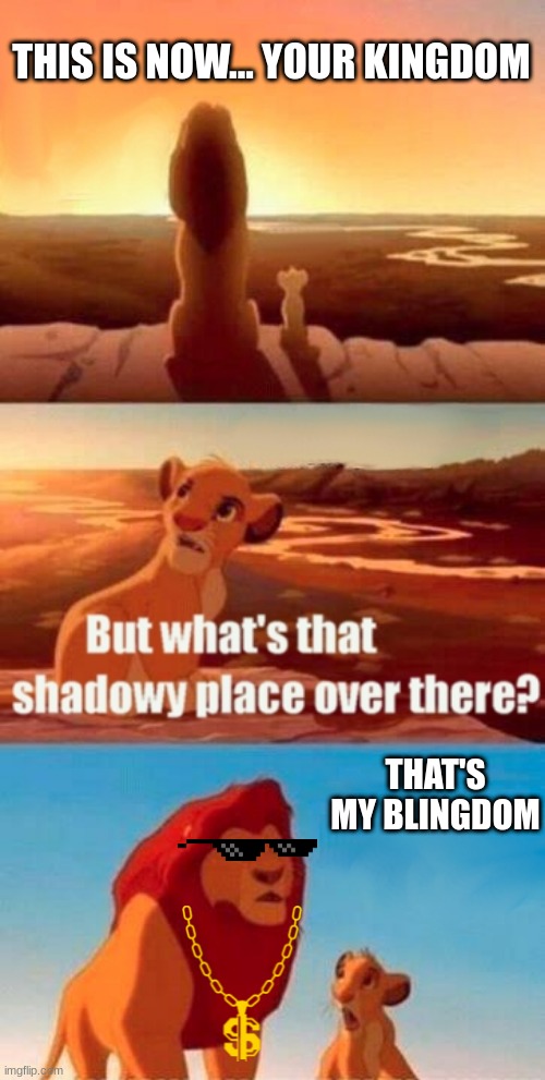 Simba Shadowy Place Meme | THIS IS NOW... YOUR KINGDOM; THAT'S MY BLINGDOM | image tagged in memes,simba shadowy place | made w/ Imgflip meme maker