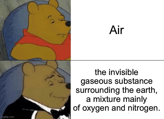 Air | Air; the invisible gaseous substance surrounding the earth, a mixture mainly of oxygen and nitrogen. | image tagged in memes,tuxedo winnie the pooh | made w/ Imgflip meme maker