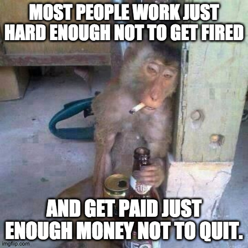 Monkey knows the score | MOST PEOPLE WORK JUST HARD ENOUGH NOT TO GET FIRED; AND GET PAID JUST ENOUGH MONEY NOT TO QUIT. | image tagged in drunken ass monkey,hard work,life advice,life lessons | made w/ Imgflip meme maker