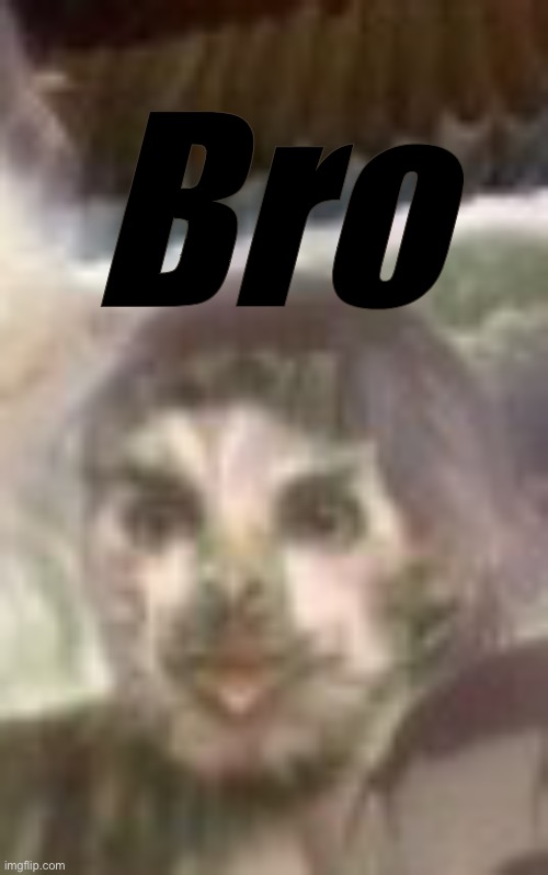 Bro | made w/ Imgflip meme maker