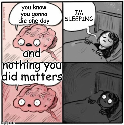 Brain Before Sleep | IM SLEEPING; you know you gonna die one day; and nothing you did matters | image tagged in brain before sleep | made w/ Imgflip meme maker