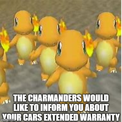 You better run, boy | THE CHARMANDERS WOULD LIKE TO INFORM YOU ABOUT YOUR CARS EXTENDED WARRANTY | image tagged in pokemon,charmander,meme,extended warranty,car,pokemon memes | made w/ Imgflip meme maker