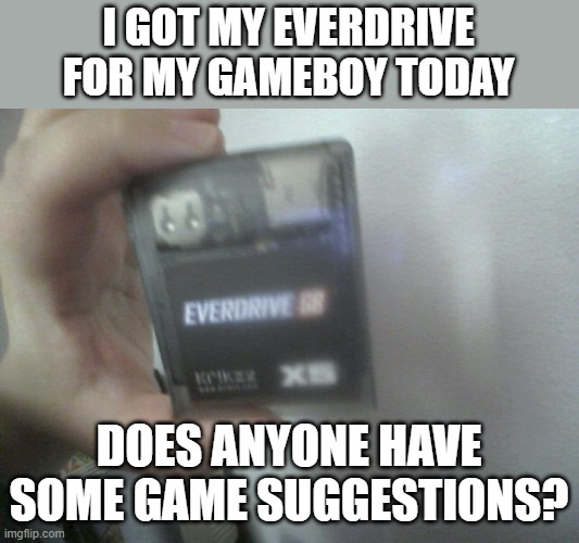 I already have Tetris and Super Mario Land on the real carts | I GOT MY EVERDRIVE FOR MY GAMEBOY TODAY; DOES ANYONE HAVE SOME GAME SUGGESTIONS? | made w/ Imgflip meme maker