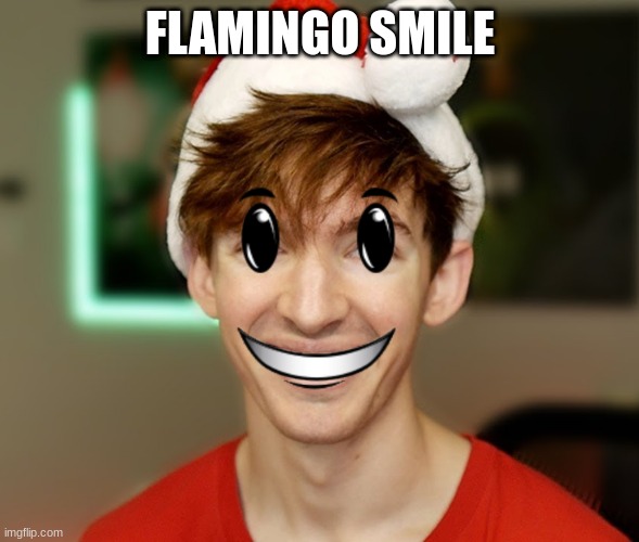 Flamingo Smile | FLAMINGO SMILE | image tagged in funny memes | made w/ Imgflip meme maker