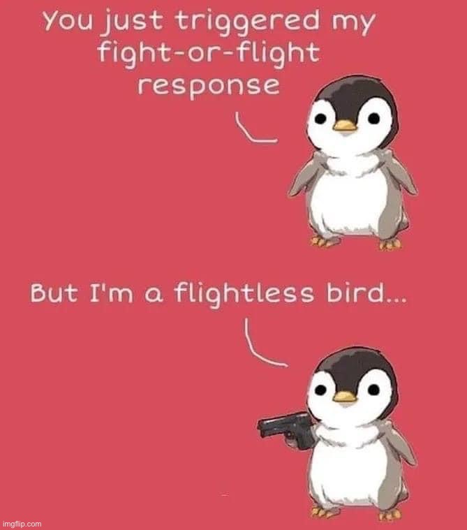 You just triggered a Flightless bird | image tagged in you just triggered a flightless bird | made w/ Imgflip meme maker