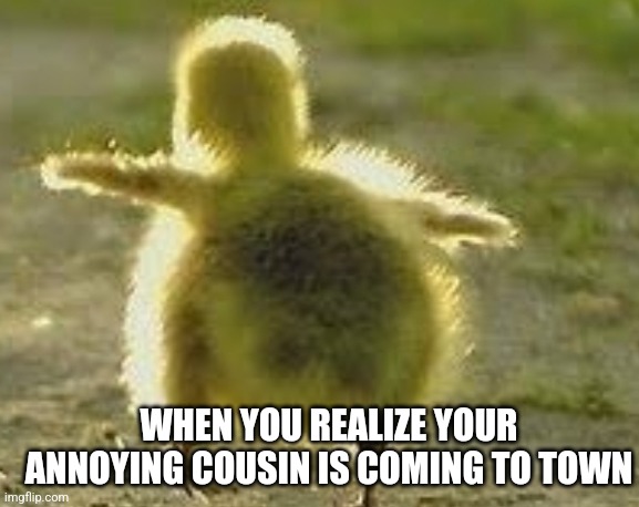 THE ANNOYING COUSIN | WHEN YOU REALIZE YOUR ANNOYING COUSIN IS COMING TO TOWN | image tagged in chicken | made w/ Imgflip meme maker