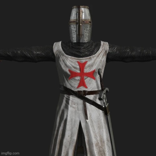 T posing crusader | image tagged in t posing crusader | made w/ Imgflip meme maker