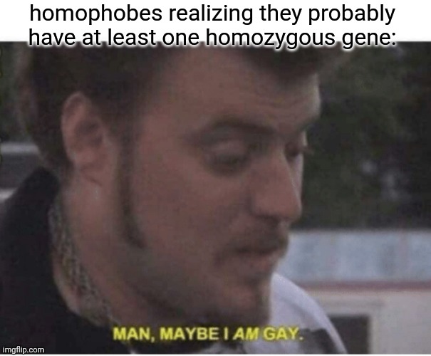 hehe science | homophobes realizing they probably have at least one homozygous gene: | image tagged in maybe i am gay | made w/ Imgflip meme maker