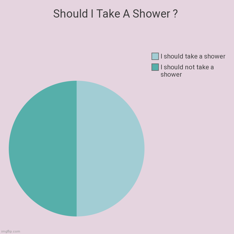 Help | Should I Take A Shower ? | I should not take a shower, I should take a shower | image tagged in charts,pie charts | made w/ Imgflip chart maker