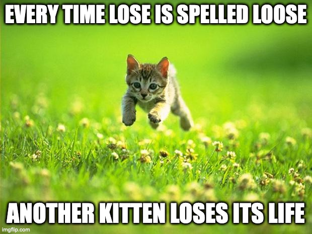 Lose |  EVERY TIME LOSE IS SPELLED LOOSE; ANOTHER KITTEN LOSES ITS LIFE | image tagged in every time i smile god kills a kitten | made w/ Imgflip meme maker