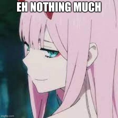 smug | EH NOTHING MUCH | image tagged in smug | made w/ Imgflip meme maker