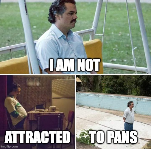Yes I'm pansexual, no that doesn't mean I'm attracted to pans | I AM NOT; ATTRACTED; TO PANS | image tagged in memes,sad pablo escobar | made w/ Imgflip meme maker