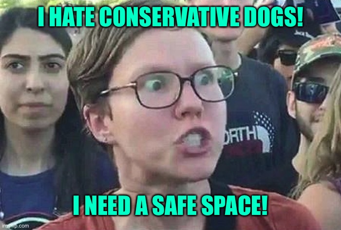 Triggered Liberal | I HATE CONSERVATIVE DOGS! I NEED A SAFE SPACE! | image tagged in triggered liberal | made w/ Imgflip meme maker