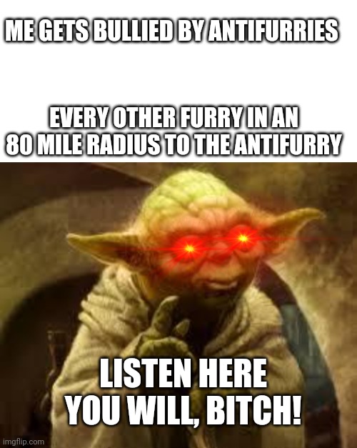 Furries stick together! | ME GETS BULLIED BY ANTIFURRIES; EVERY OTHER FURRY IN AN 80 MILE RADIUS TO THE ANTIFURRY; LISTEN HERE YOU WILL, BITCH! | image tagged in blank white template,yoda,furries,bullies | made w/ Imgflip meme maker