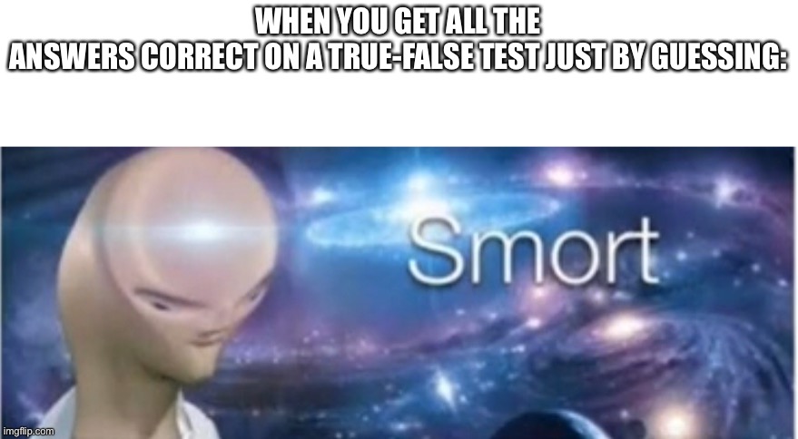 Oh my gosh such smort | WHEN YOU GET ALL THE ANSWERS CORRECT ON A TRUE-FALSE TEST JUST BY GUESSING: | image tagged in meme man smort | made w/ Imgflip meme maker