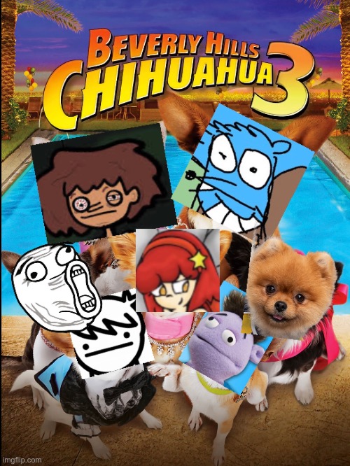 Beverly Gay Chihuahua | image tagged in amphibia,regular show,asdfmovie,fish hooks | made w/ Imgflip meme maker