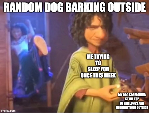 encanto meme | RANDOM DOG BARKING OUTSIDE; ME TRYING TO SLEEP FOR ONCE THIS WEEK; MY DOG SCREECHING AT THE TOP OF HER LUNGS AND BEGGING TO GO OUTSIDE | image tagged in encanto meme | made w/ Imgflip meme maker