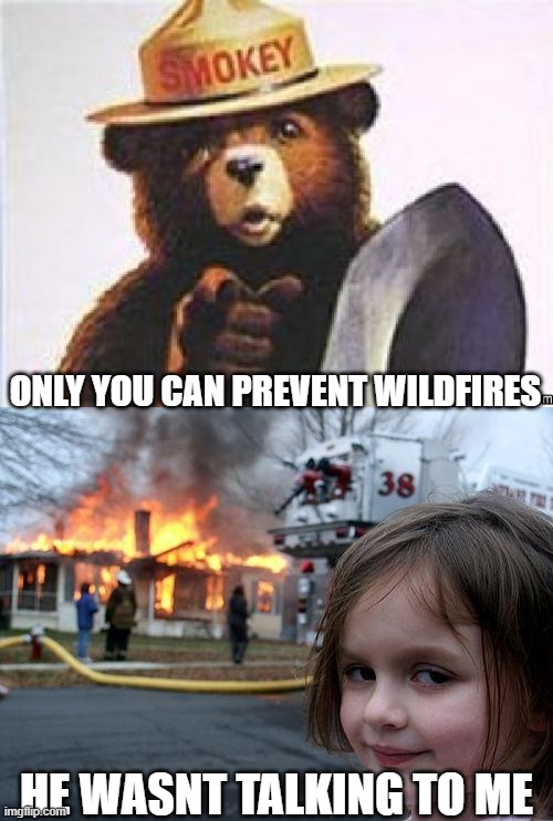 smoked | ONLY YOU CAN PREVENT WILDFIRES; HE WASNT TALKING TO ME | image tagged in only you can,memes,disaster girl,smokey the bear | made w/ Imgflip meme maker