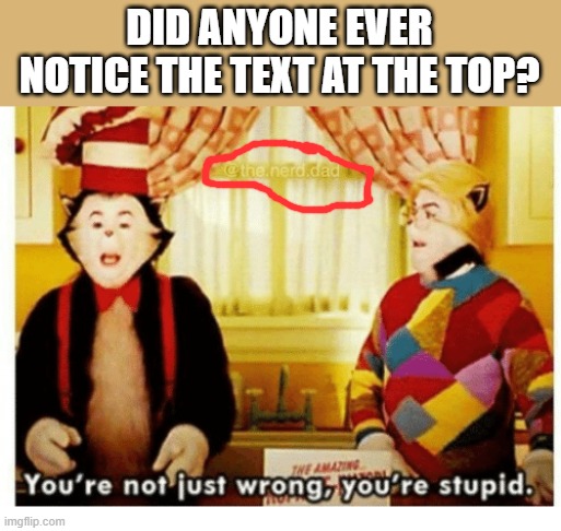 You're not just wrong your stupid | DID ANYONE EVER NOTICE THE TEXT AT THE TOP? | image tagged in you're not just wrong your stupid | made w/ Imgflip meme maker