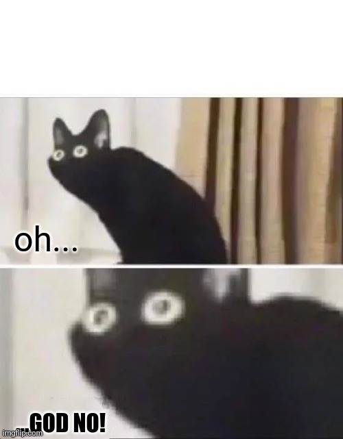 Oh No Black Cat | oh... ...GOD NO! | image tagged in oh no black cat | made w/ Imgflip meme maker
