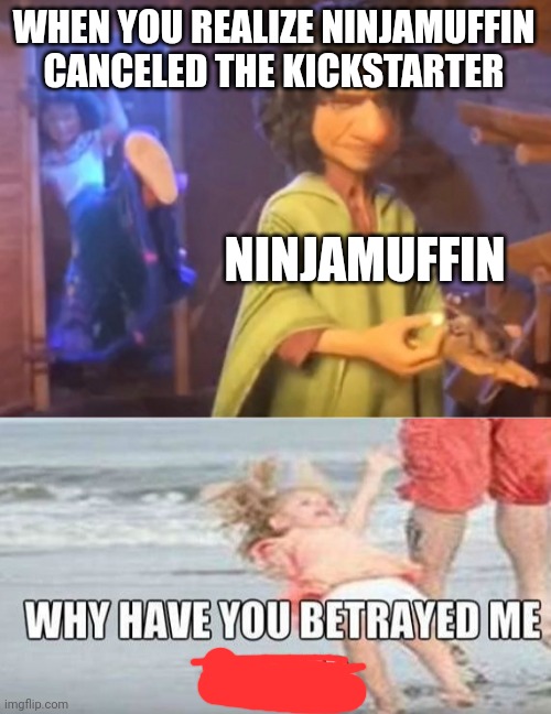 Why have you betrayed us? | WHEN YOU REALIZE NINJAMUFFIN CANCELED THE KICKSTARTER; NINJAMUFFIN | image tagged in friday night funkin | made w/ Imgflip meme maker