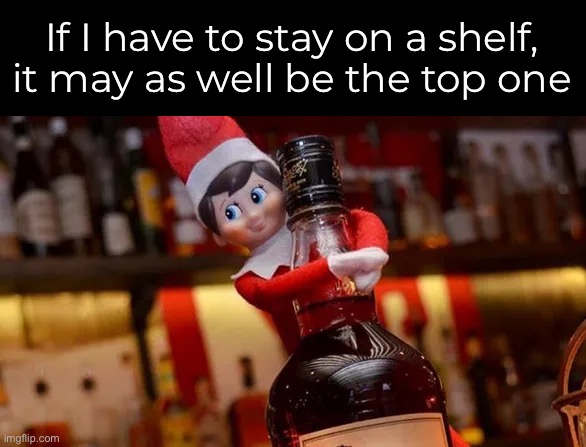 If I have to stay on a shelf, it may as well be the top one | made w/ Imgflip meme maker