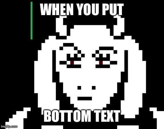 When you put | WHEN YOU PUT; BOTTOM TEXT | image tagged in undertale - toriel | made w/ Imgflip meme maker