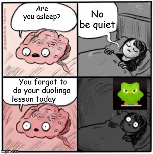 Brain Before Sleep | No be quiet; Are you asleep? You forgot to do your duolingo lesson today | image tagged in brain before sleep,duolingo,duolingo bird,memes,funny memes | made w/ Imgflip meme maker