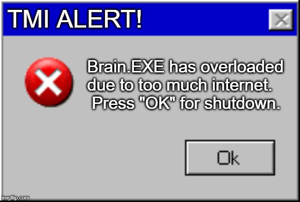 Windows Error Message | TMI ALERT! Brain.EXE has overloaded due to too much internet.  Press "OK" for shutdown. | image tagged in windows error message | made w/ Imgflip meme maker