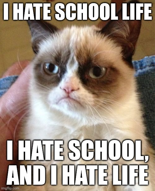 Grumpy cat holds no truth back | I HATE SCHOOL LIFE; I HATE SCHOOL, AND I HATE LIFE | image tagged in memes,grumpy cat,school life,school,life,cats | made w/ Imgflip meme maker
