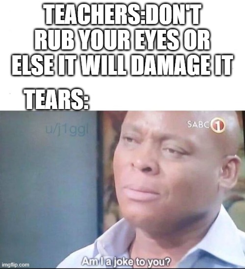 am I a joke to you | TEACHERS:DON'T RUB YOUR EYES OR ELSE IT WILL DAMAGE IT; TEARS: | image tagged in am i a joke to you | made w/ Imgflip meme maker