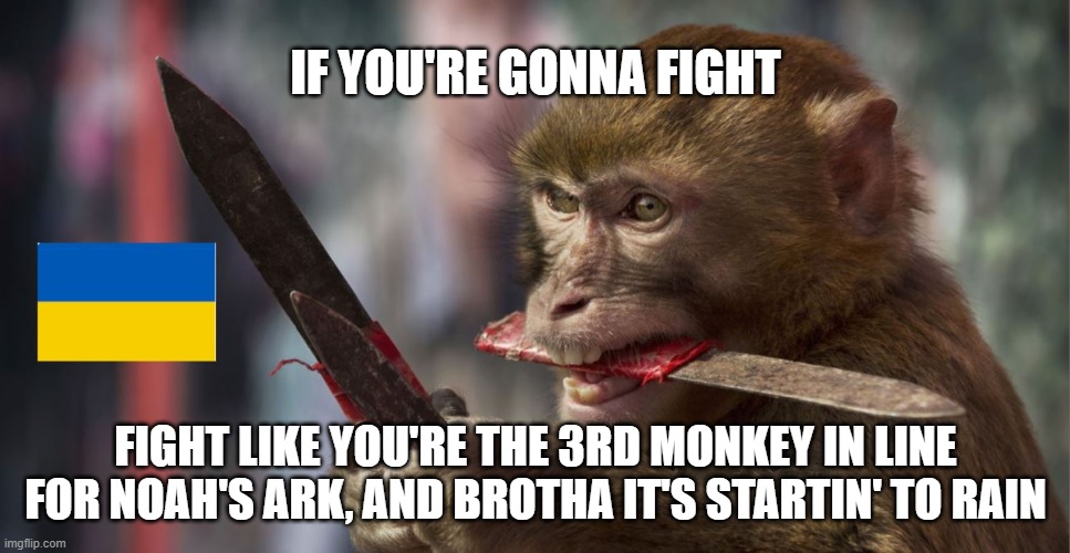 Fighting Like Everything's At Stake | IF YOU'RE GONNA FIGHT; FIGHT LIKE YOU'RE THE 3RD MONKEY IN LINE FOR NOAH'S ARK, AND BROTHA IT'S STARTIN' TO RAIN | image tagged in putin,ukraine,animals | made w/ Imgflip meme maker