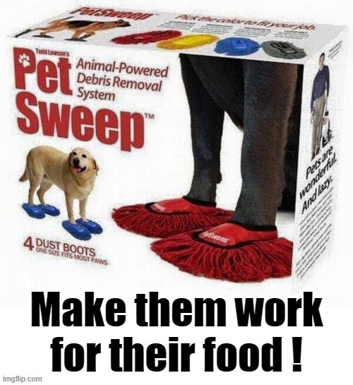 Make your dog work ! | Make them work for their food ! | image tagged in blankie the shocked dog | made w/ Imgflip meme maker