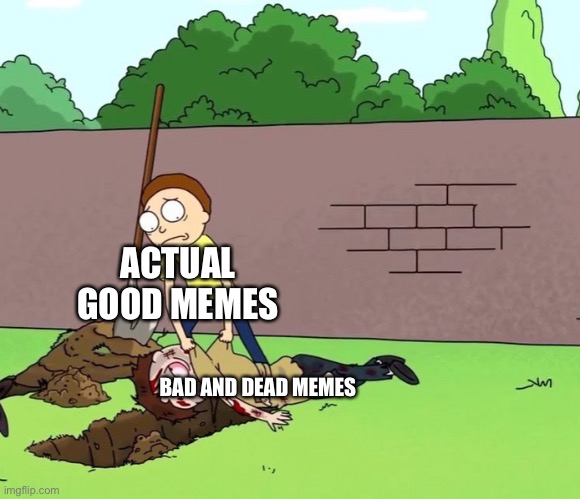 Morty with his dead body | ACTUAL GOOD MEMES; BAD AND DEAD MEMES | image tagged in morty with his dead body | made w/ Imgflip meme maker