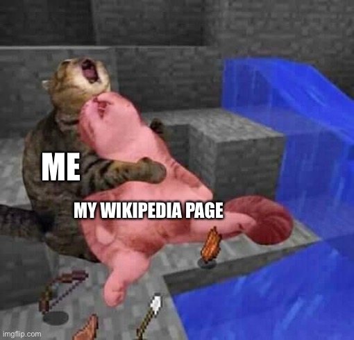 Nooooooooooo | ME; MY WIKIPEDIA PAGE | image tagged in dead minecraft cat meme | made w/ Imgflip meme maker