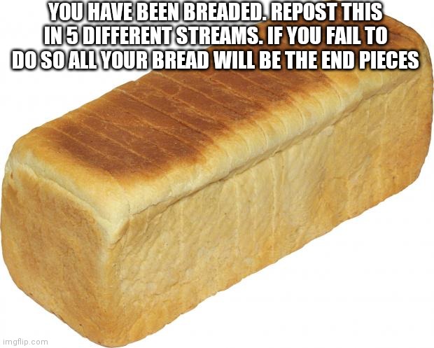 Repost this bread | YOU HAVE BEEN BREADED. REPOST THIS IN 5 DIFFERENT STREAMS. IF YOU FAIL TO DO SO ALL YOUR BREAD WILL BE THE END PIECES | image tagged in breadddd | made w/ Imgflip meme maker