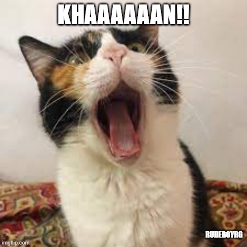 Cat - Khan | KHAAAAAAN!! RUDEBOYRG | image tagged in cat,cat scream,star trek kirk khan | made w/ Imgflip meme maker