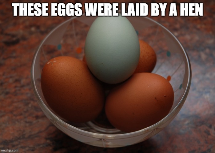 It's true | THESE EGGS WERE LAID BY A HEN | image tagged in blue egg among brown eggs,memes | made w/ Imgflip meme maker