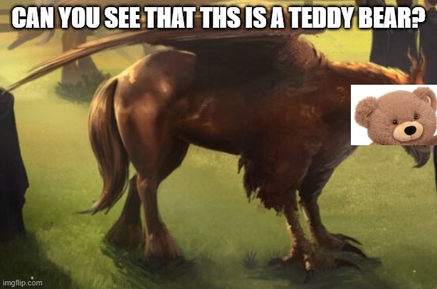 Ok, can you see now that it is a teddy bear | CAN YOU SEE THAT THS IS A TEDDY BEAR? | image tagged in hippogriff 2,memes,teddy bear | made w/ Imgflip meme maker