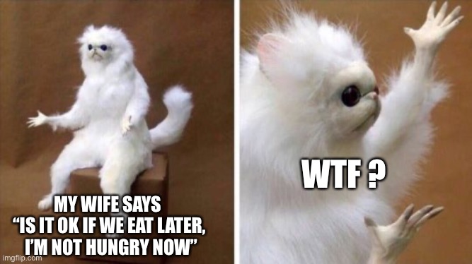 Wtf Cat | WTF ? MY WIFE SAYS 
“IS IT OK IF WE EAT LATER,
 I’M NOT HUNGRY NOW” | image tagged in wtf cat | made w/ Imgflip meme maker