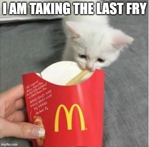 French Fried Tears | I AM TAKING THE LAST FRY | image tagged in french fried tears,memes,funny,cats,animals,cute | made w/ Imgflip meme maker