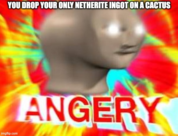 Surreal Angery | YOU DROP YOUR ONLY NETHERITE INGOT ON A CACTUS | image tagged in surreal angery | made w/ Imgflip meme maker