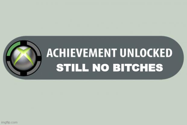 achievement unlocked | STILL NO BITCHES | image tagged in achievement unlocked,no bitches | made w/ Imgflip meme maker