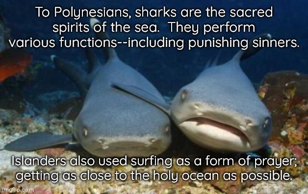 Can you blame the sharks for getting irritated with modern, irreverent surfing? | To Polynesians, sharks are the sacred spirits of the sea.  They perform various functions--including punishing sinners. Islanders also used surfing as a form of prayer;
getting as close to the holy ocean as possible. | image tagged in empathetic shark,cultural appropriation,blasphemy,mad karma | made w/ Imgflip meme maker