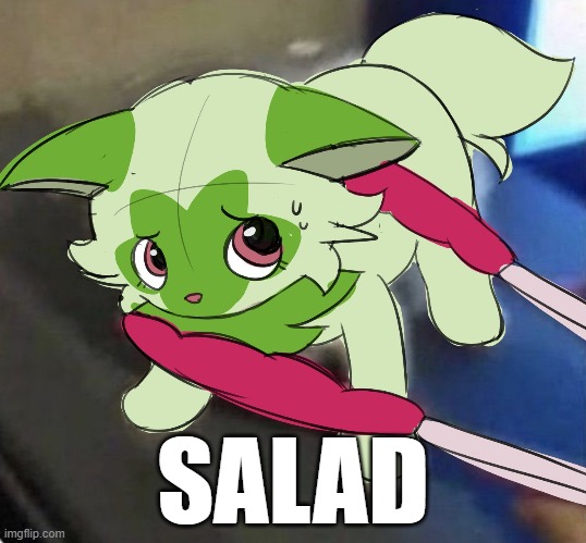 SALAD | made w/ Imgflip meme maker