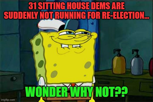 Don't You Squidward | 31 SITTING HOUSE DEMS ARE SUDDENLY NOT RUNNING FOR RE-ELECTION... WONDER WHY NOT?? | image tagged in memes,don't you squidward | made w/ Imgflip meme maker
