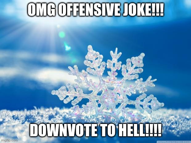 snowflake | OMG OFFENSIVE JOKE!!! DOWNVOTE TO HELL!!!! | image tagged in snowflake | made w/ Imgflip meme maker