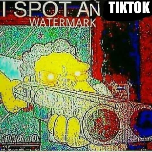 I SPOT AN x WATERMARK | TIKTOK | image tagged in i spot an x watermark | made w/ Imgflip meme maker