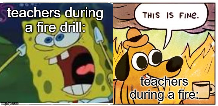 teachers during a fire drill:; teachers during a fire: | image tagged in memes,funny memes,dog,spongebob | made w/ Imgflip meme maker